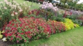 20140914_113813_resize_20140916_224535