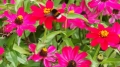 20140914_113857_resize_20140916_224538