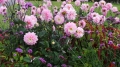20140914_113950_resize_20140916_224537