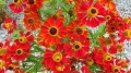 20140914_114032_resize_20140916_224539