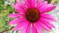 20140914_114050_resize_20140916_224541