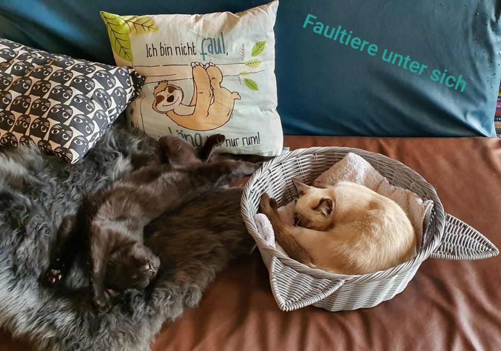 Tiere Valentines Wundervolle Welt tiere-valentines-wundervolle-welt